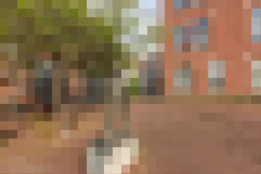 Nieuwe Schoolstraat 87 Den Haag thumbnail 49