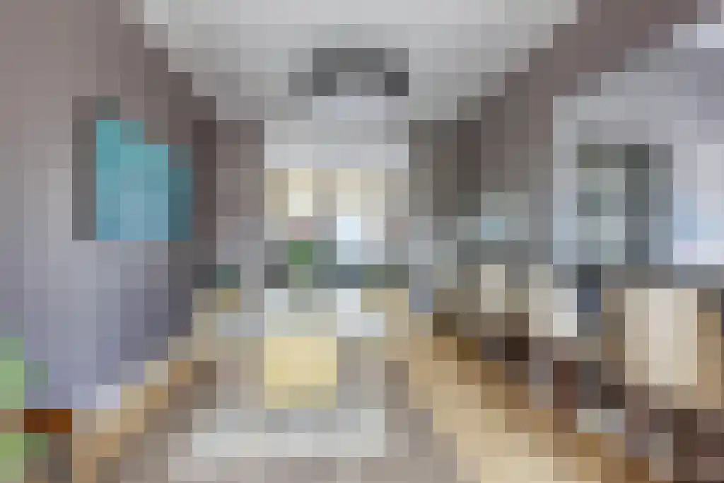 Nieuwe Schoolstraat 87 Den Haag thumbnail 6