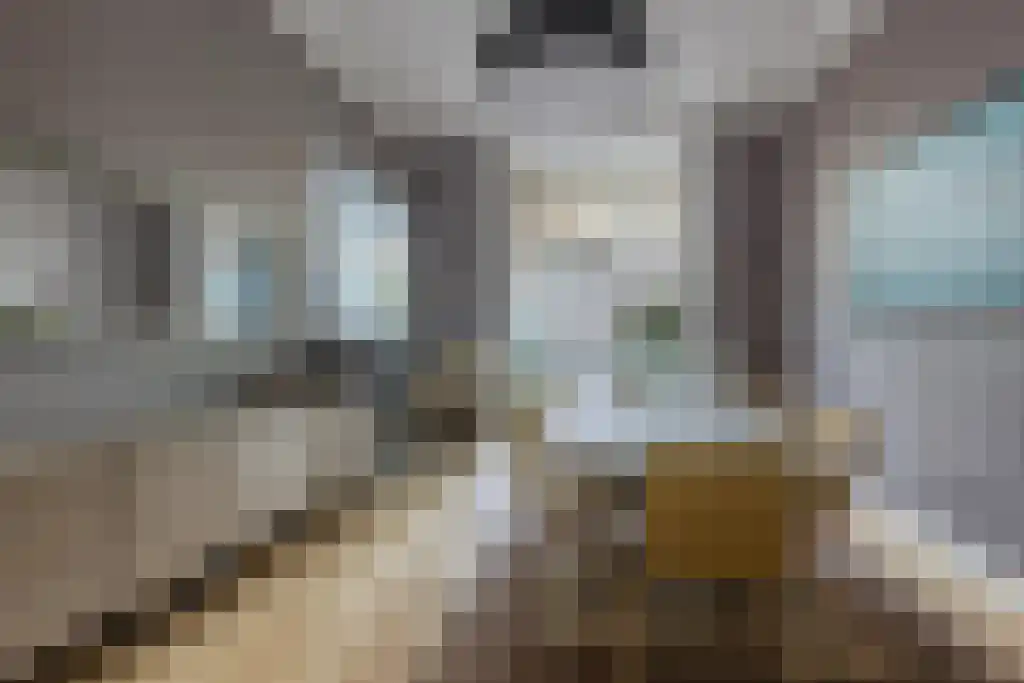 Nieuwe Schoolstraat 87 Den Haag thumbnail 7