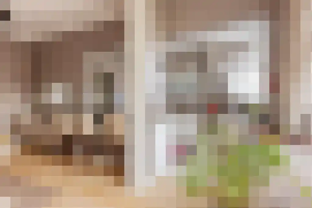 Nieuwe Schoolstraat 87 Den Haag thumbnail 8