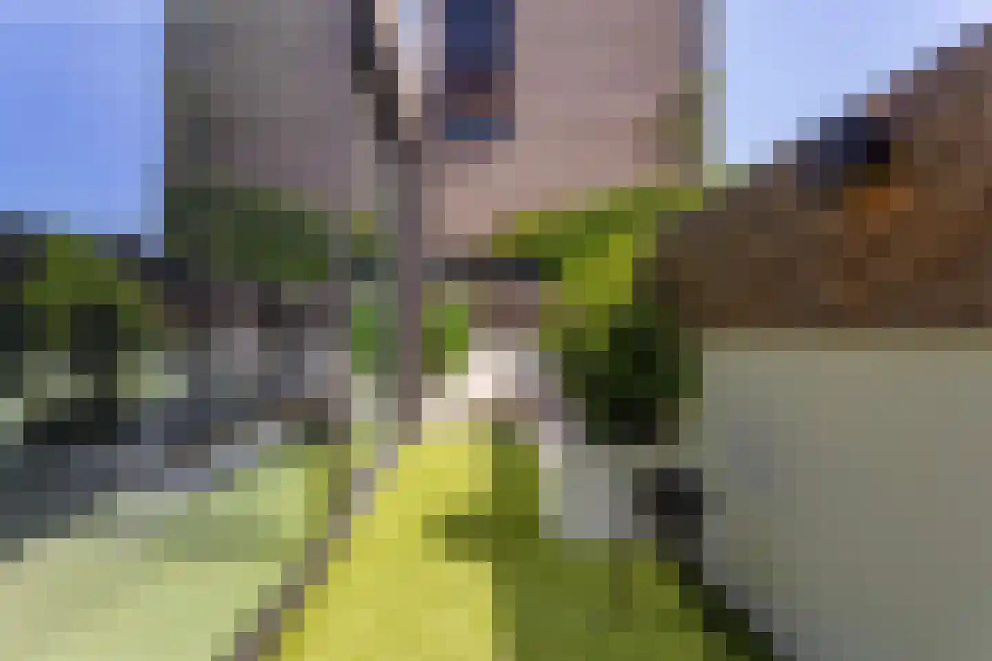 Nieuwe Schoolweg 47 Enschede thumbnail 17