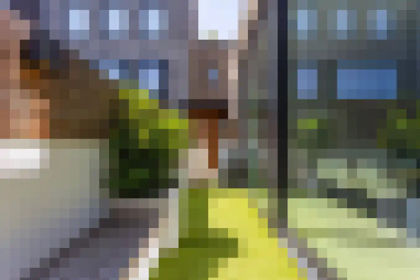 Nieuwe Schoolweg 47 Enschede thumbnail 18
