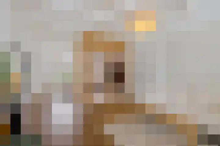 Nieuwe Schrans 10 Leeuwarden thumbnail 10