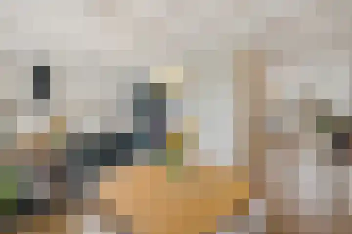 Nieuwe Schrans 10 Leeuwarden thumbnail 12