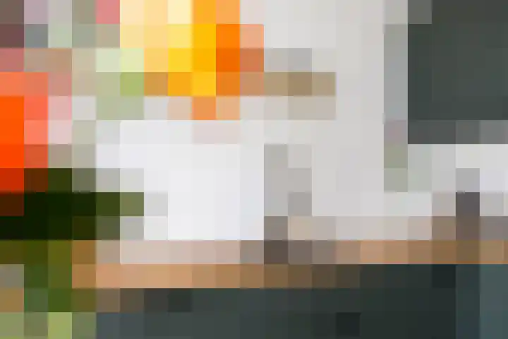 Nieuwe Schrans 10 Leeuwarden thumbnail 15
