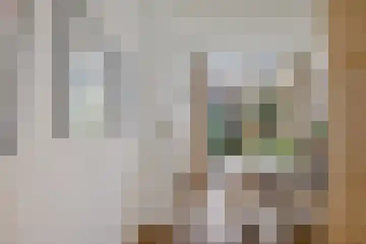 Nieuwe Schrans 10 Leeuwarden thumbnail 18
