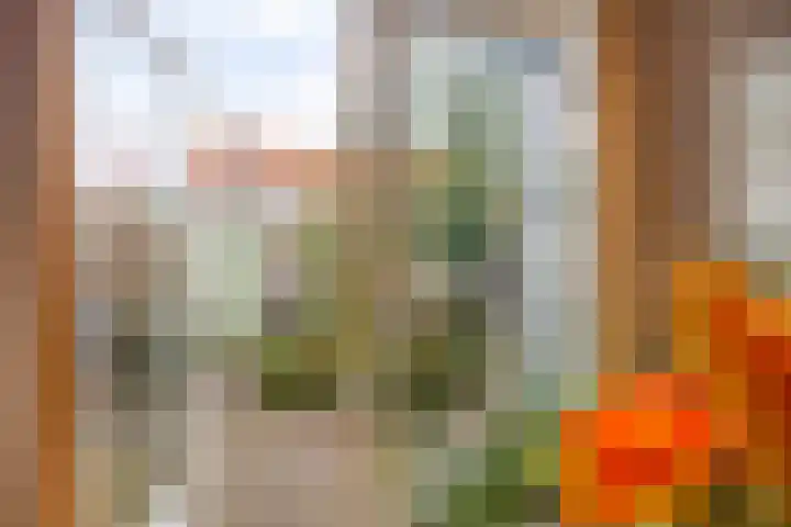 Nieuwe Schrans 10 Leeuwarden thumbnail 20