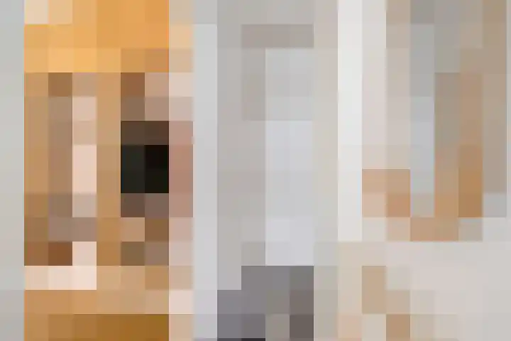 Nieuwe Schrans 10 Leeuwarden thumbnail 27