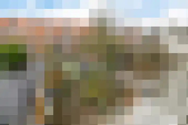Nieuwe Schrans 10 Leeuwarden thumbnail 38
