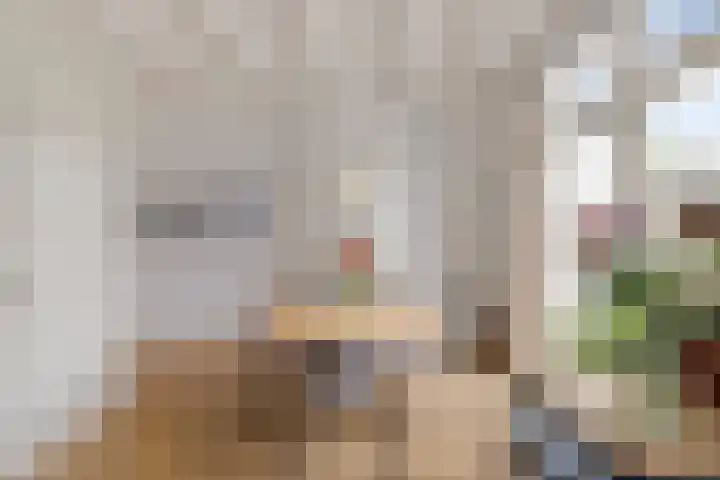 Nieuwe Schrans 10 Leeuwarden thumbnail 6