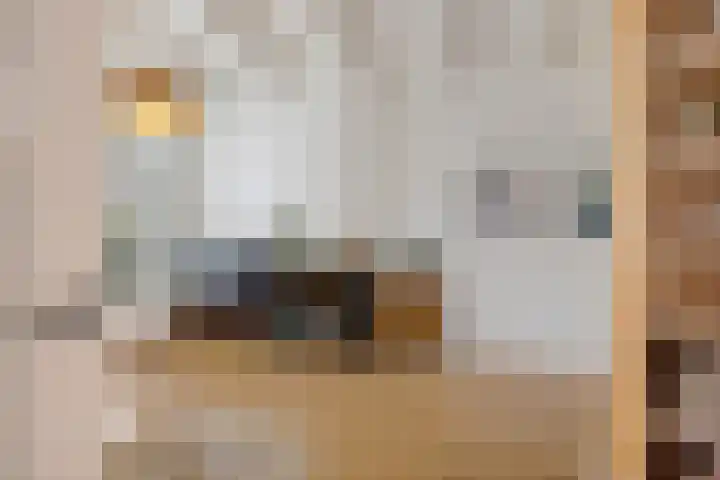 Nieuwe Schrans 10 Leeuwarden thumbnail 9