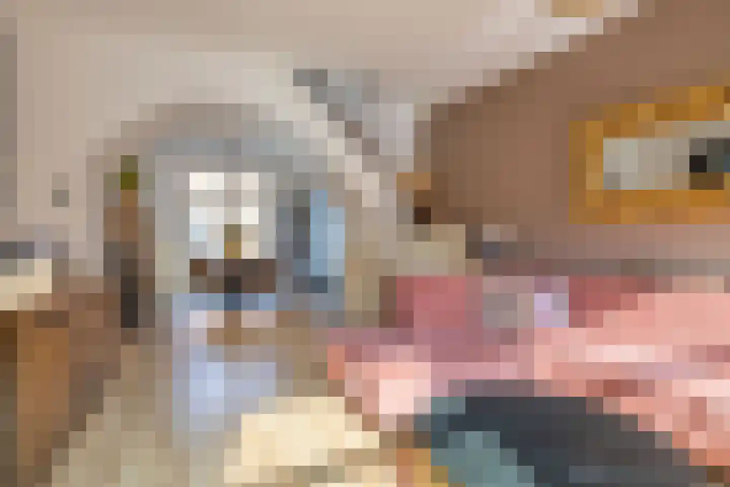 Nieuwe Schrans 18 Leeuwarden thumbnail 14