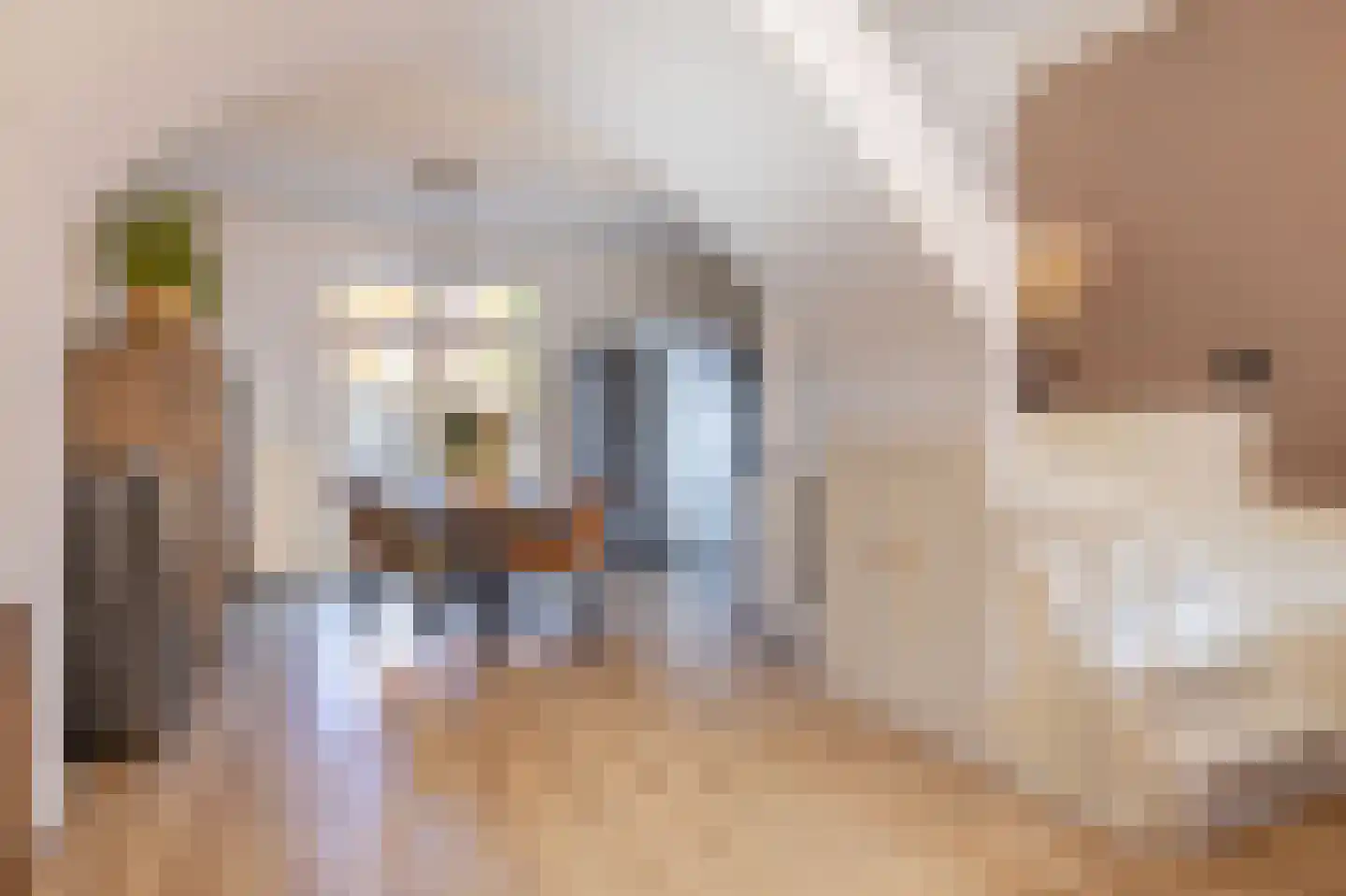 Nieuwe Schrans 18 Leeuwarden thumbnail 16