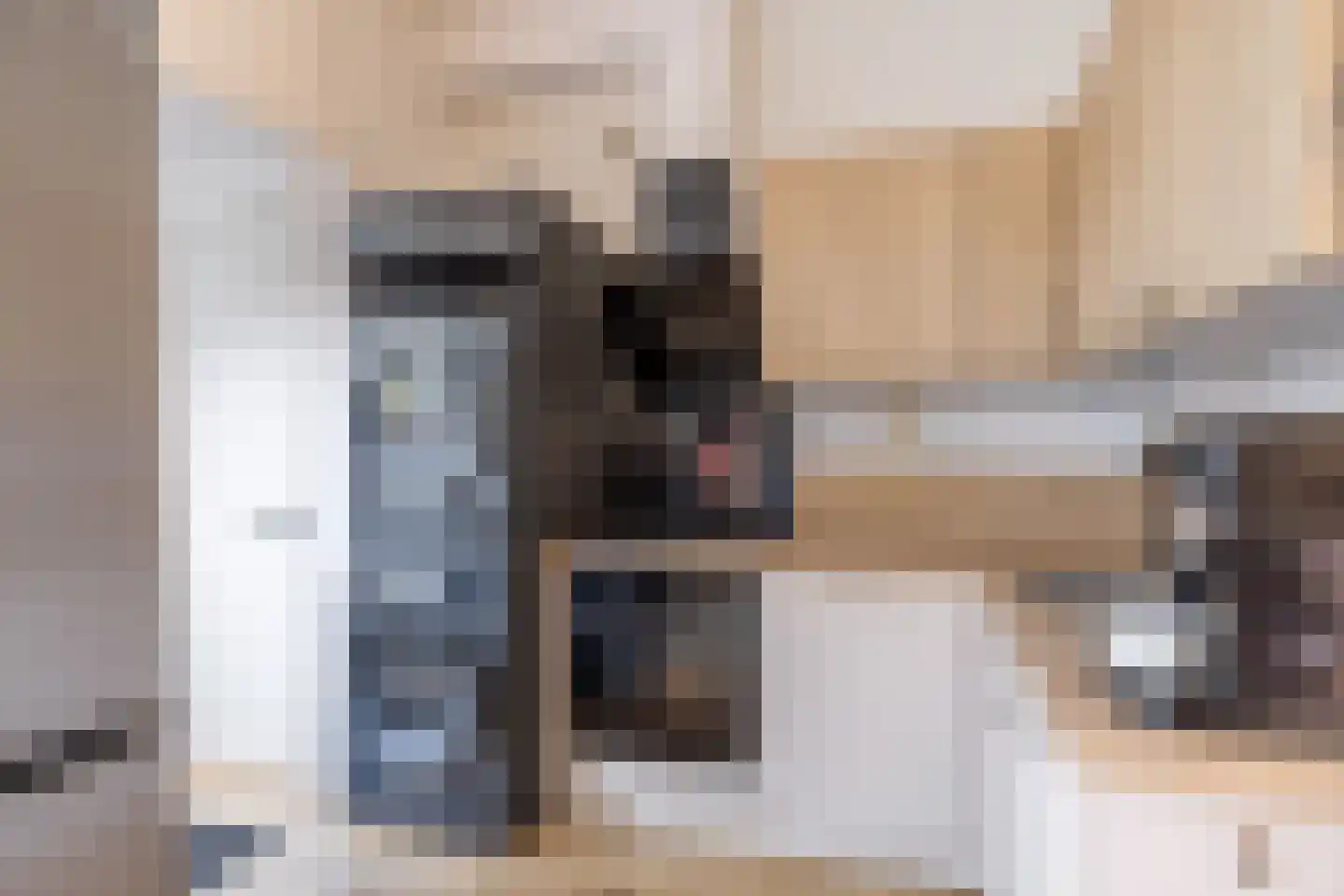 Nieuwe Schrans 18 Leeuwarden thumbnail 18