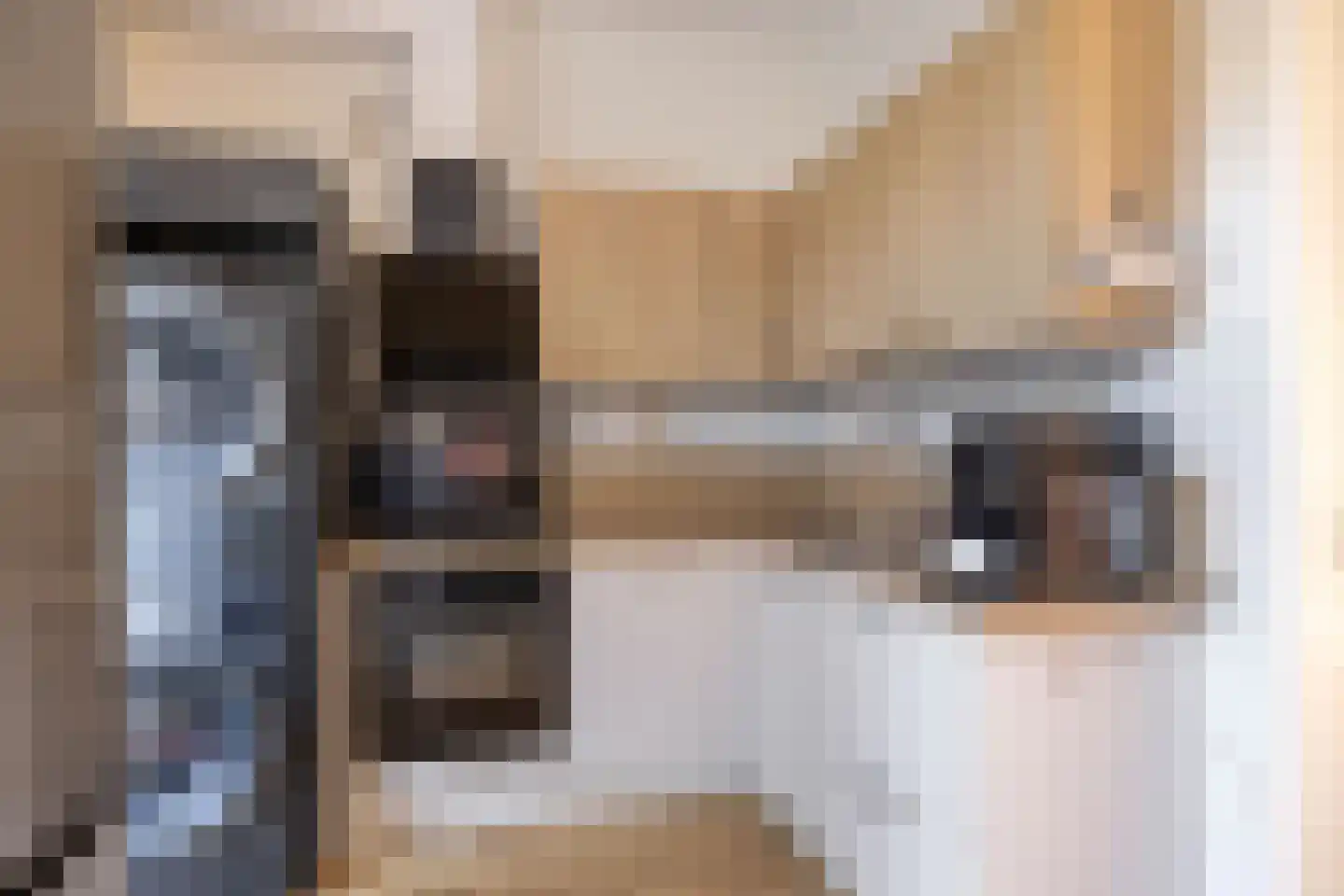 Nieuwe Schrans 18 Leeuwarden thumbnail 19
