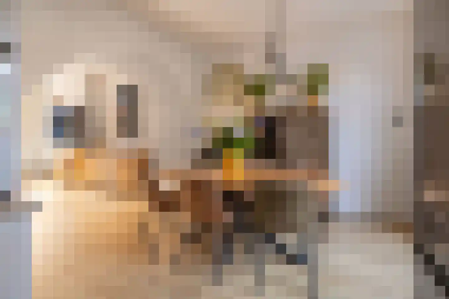 Nieuwe Schrans 18 Leeuwarden thumbnail 21