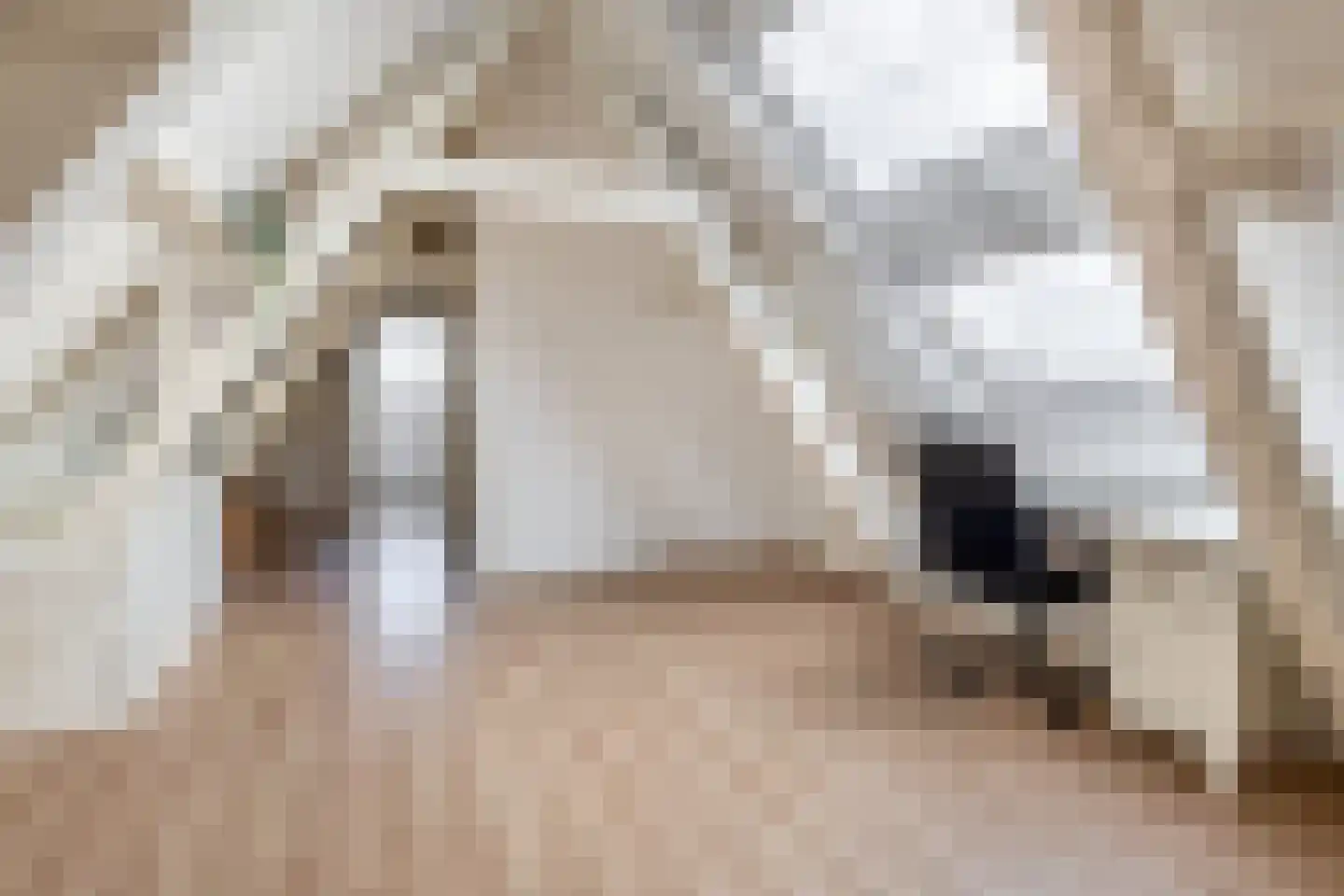 Nieuwe Sluisstraat 2 A Schiedam thumbnail 26