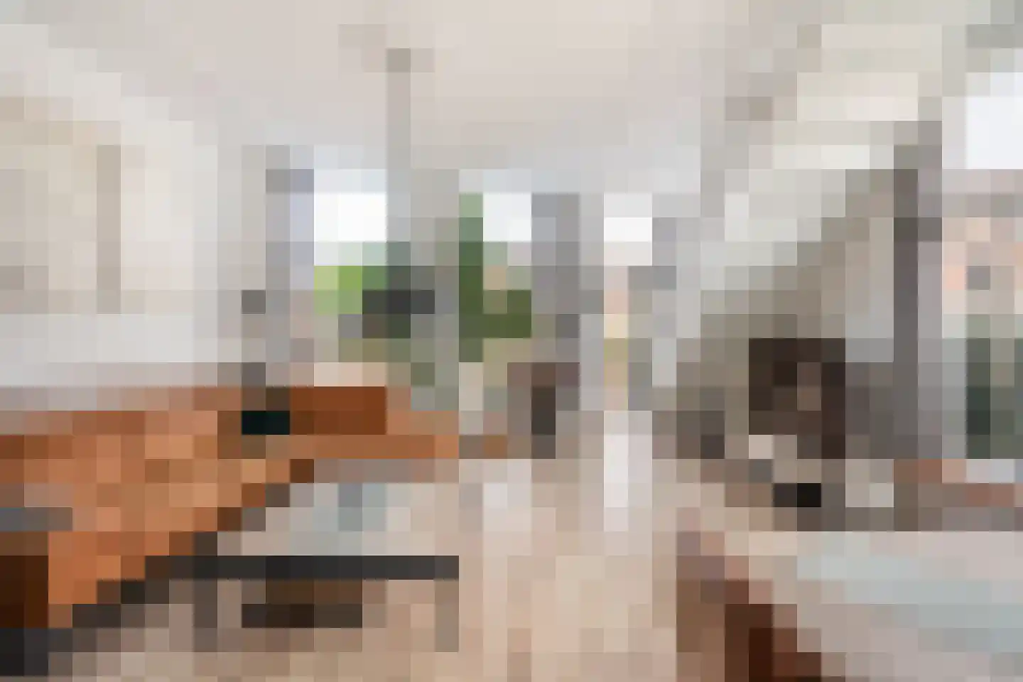 Nieuwe Sluisstraat 7 Schiedam thumbnail 21