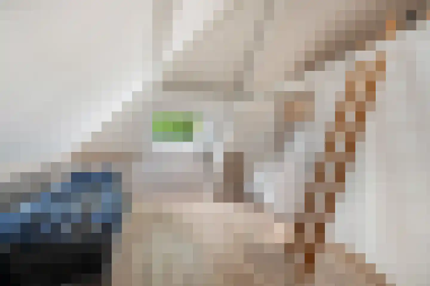 Nieuwe Sluisstraat 7 Schiedam thumbnail 34