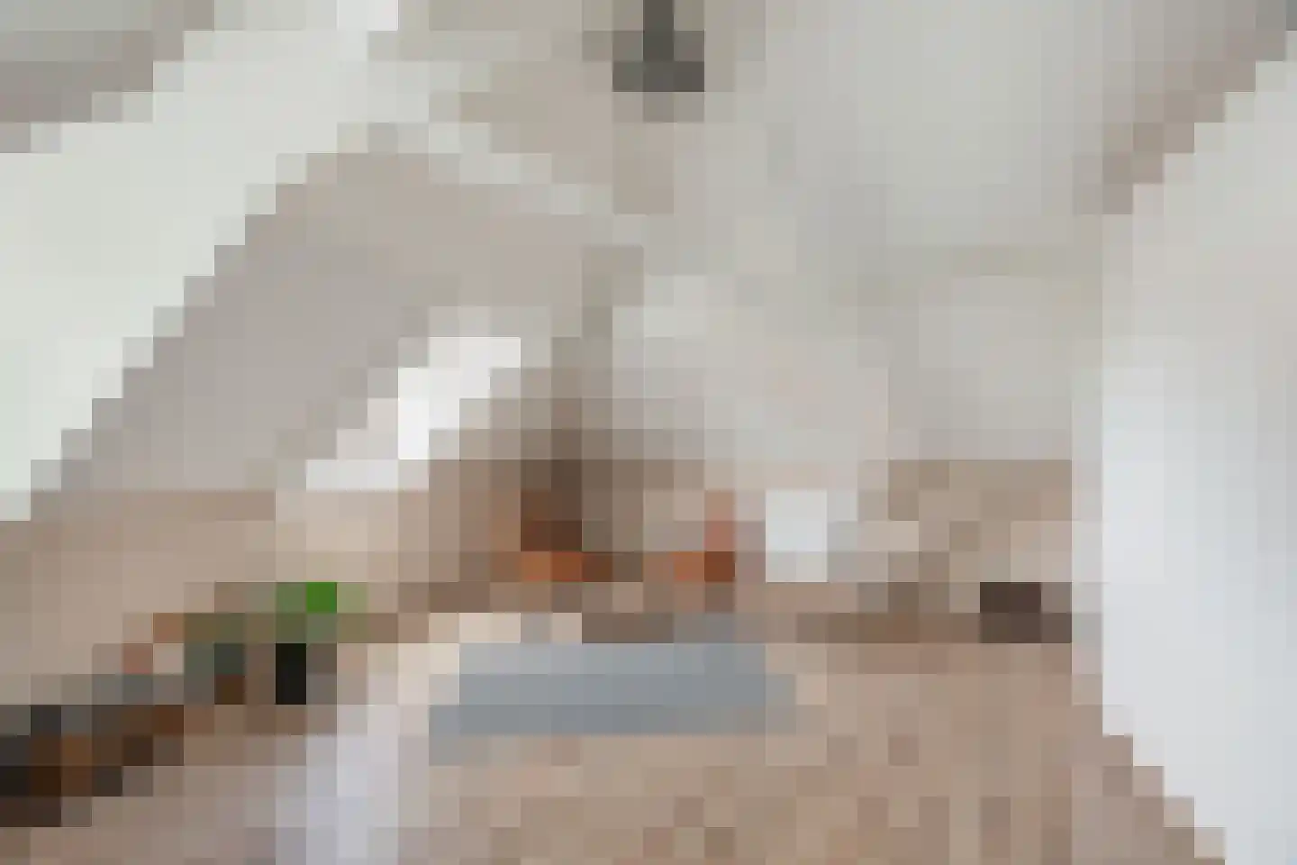 Nieuwe Sluisstraat 7 Schiedam thumbnail 5