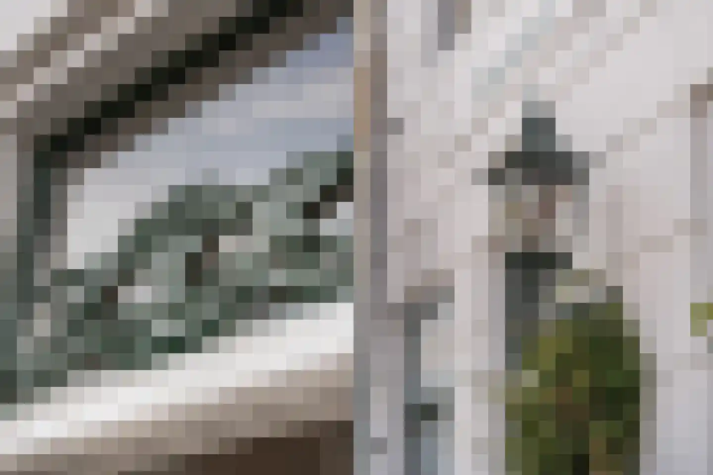 Nieuwe Sluisstraat 7 Schiedam thumbnail 58