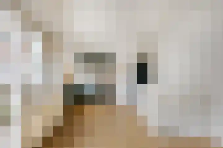 Nieuwe Spaarnwouderstraat 1 B Haarlem thumbnail 12