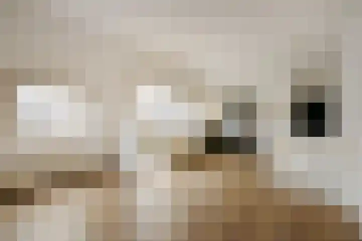 Nieuwe Spaarnwouderstraat 1 B Haarlem thumbnail 6
