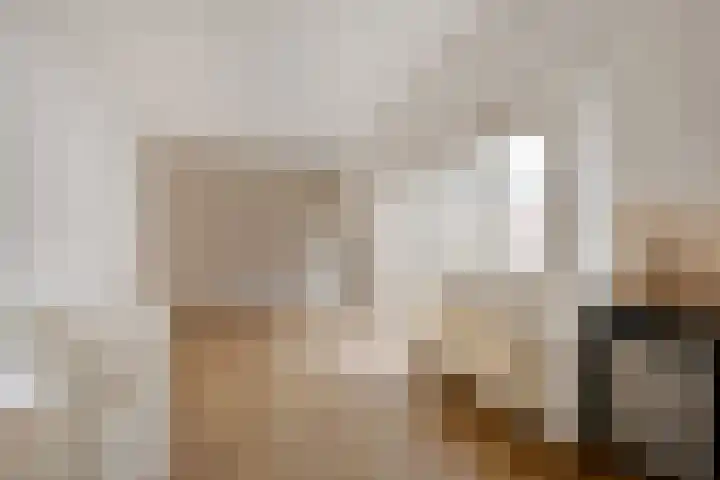 Nieuwe Spaarnwouderstraat 1 B Haarlem thumbnail 7