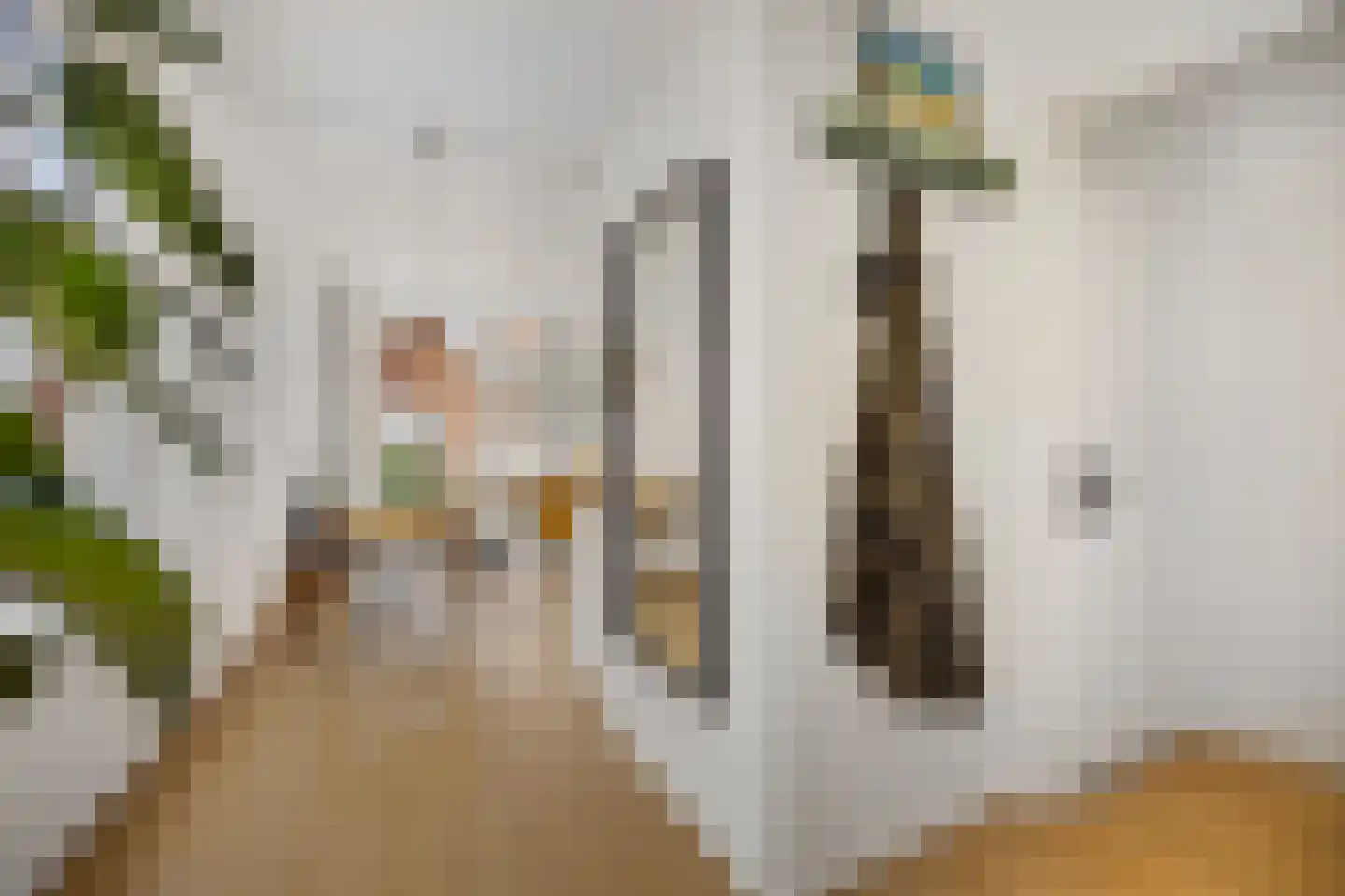 Nieuwe Spaarnwouderstraat 1 C Haarlem thumbnail 11