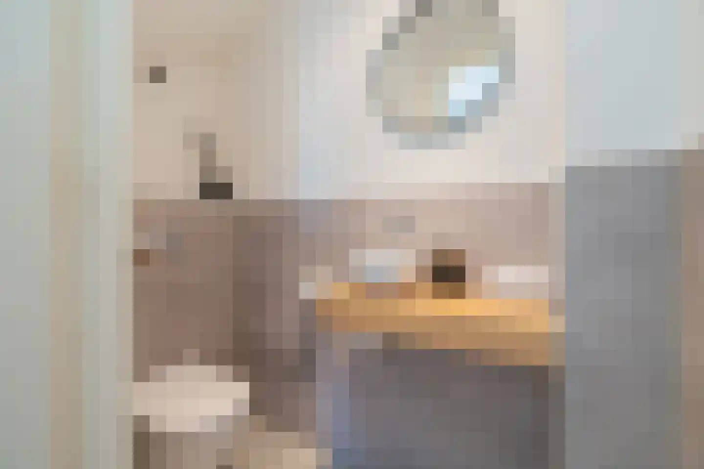Nieuwe Spaarnwouderstraat 12 RD Haarlem thumbnail 23