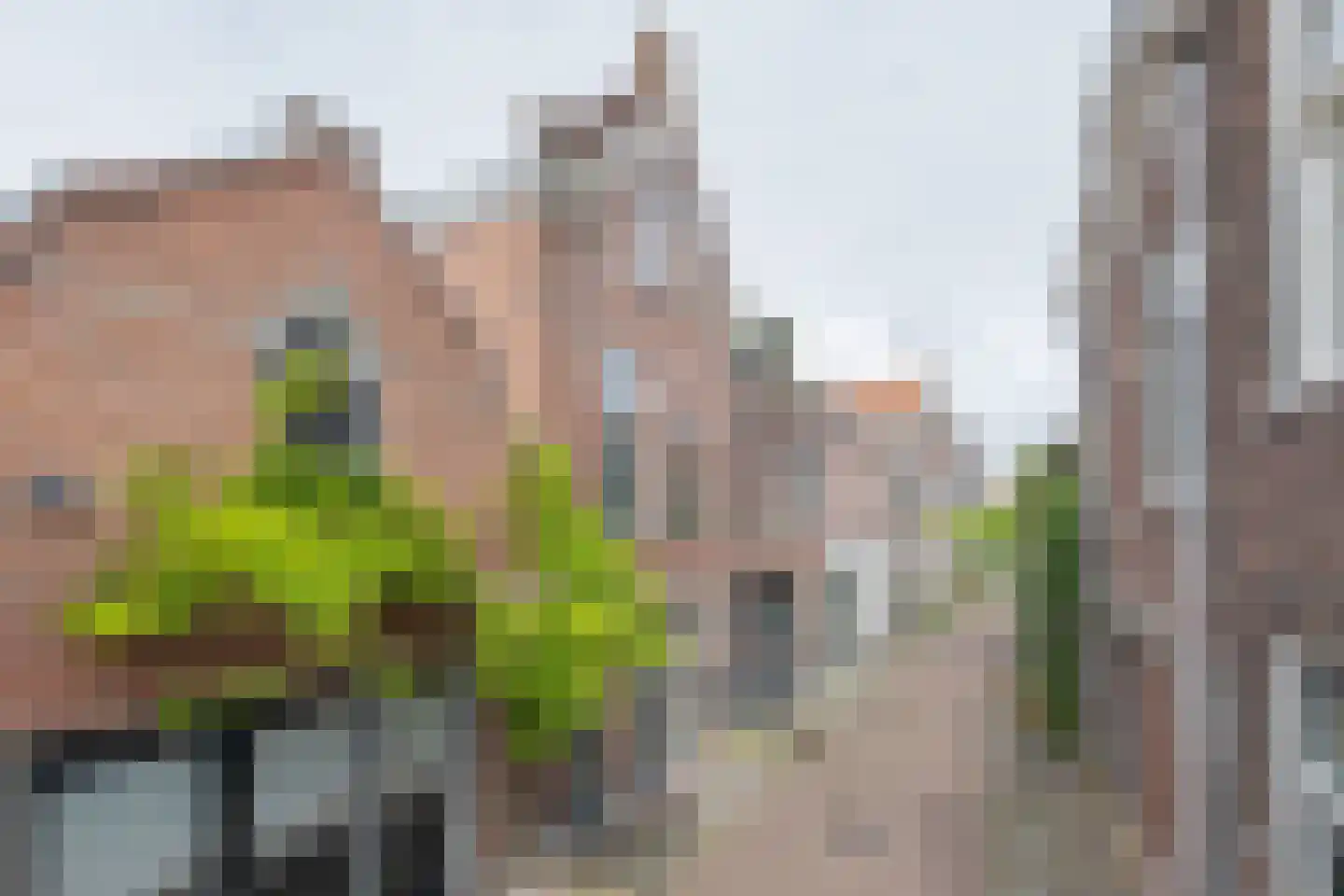 Nieuwe Spaarnwouderstraat 12 RD Haarlem thumbnail 5