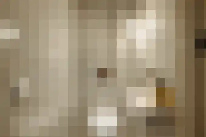 Nieuwe Spiegelstraat 26 A Amsterdam thumbnail 17