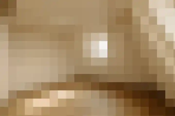 Nieuwe Spiegelstraat 26 B Amsterdam thumbnail 16