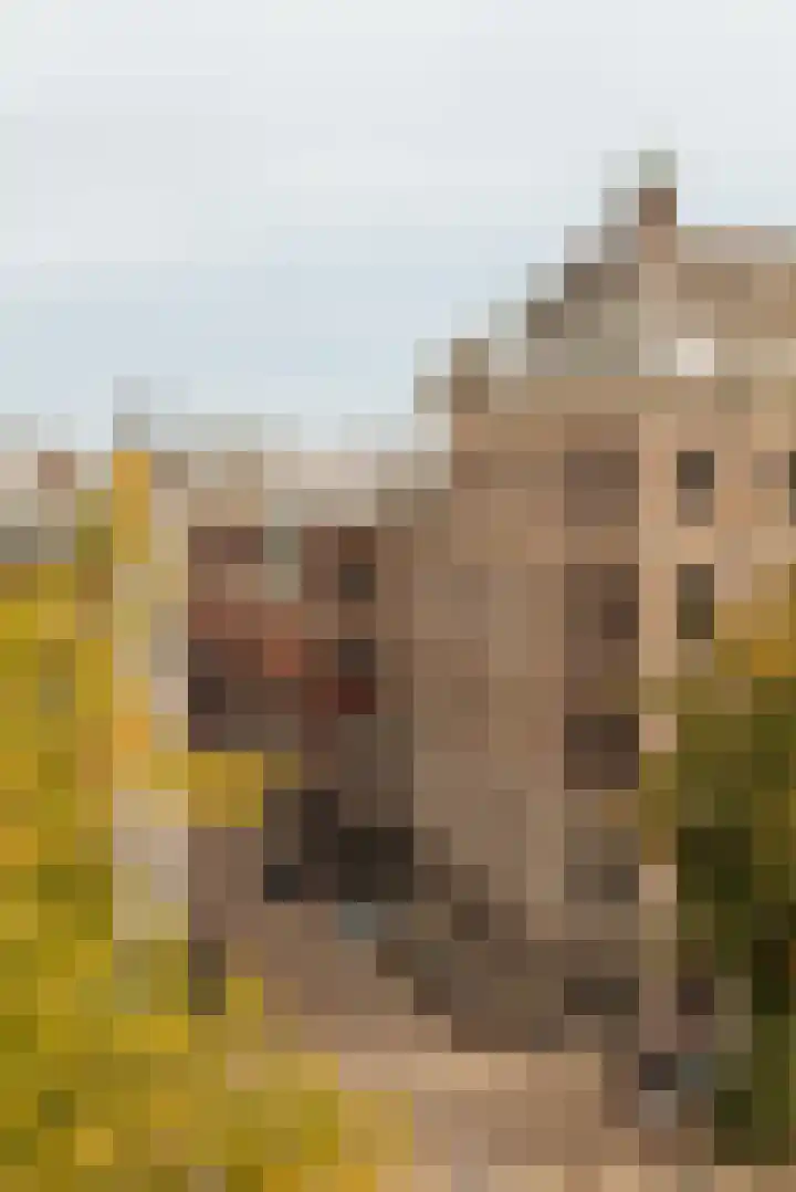 Nieuwe Spiegelstraat 26 B Amsterdam thumbnail 25