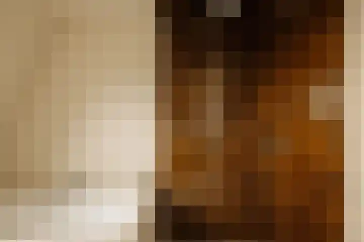 Nieuwe Spiegelstraat 26 B Amsterdam thumbnail 32