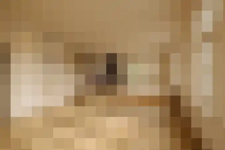 Nieuwe Spiegelstraat 26 B Amsterdam thumbnail 4