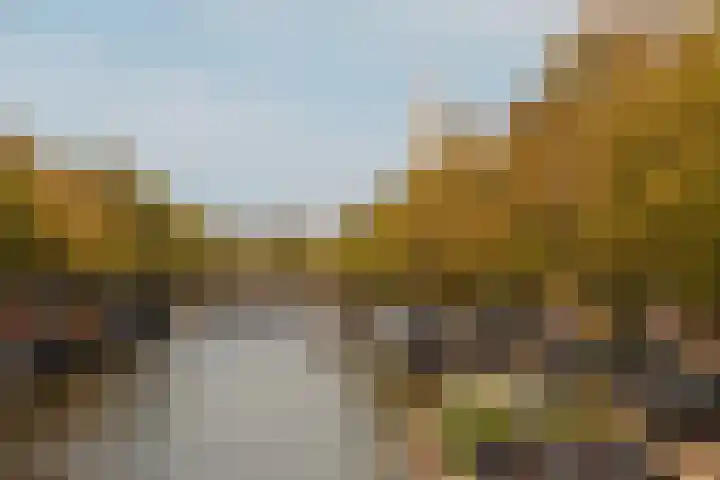 Nieuwe Spiegelstraat 26 B Amsterdam thumbnail 44