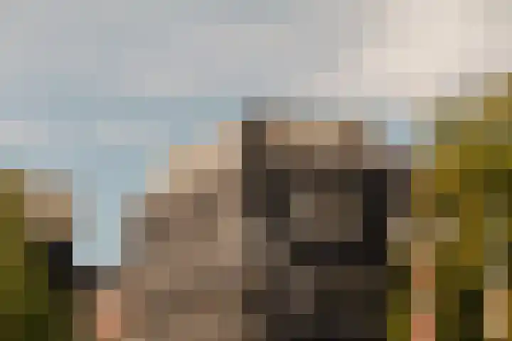 Nieuwe Spiegelstraat 26 B Amsterdam thumbnail 47