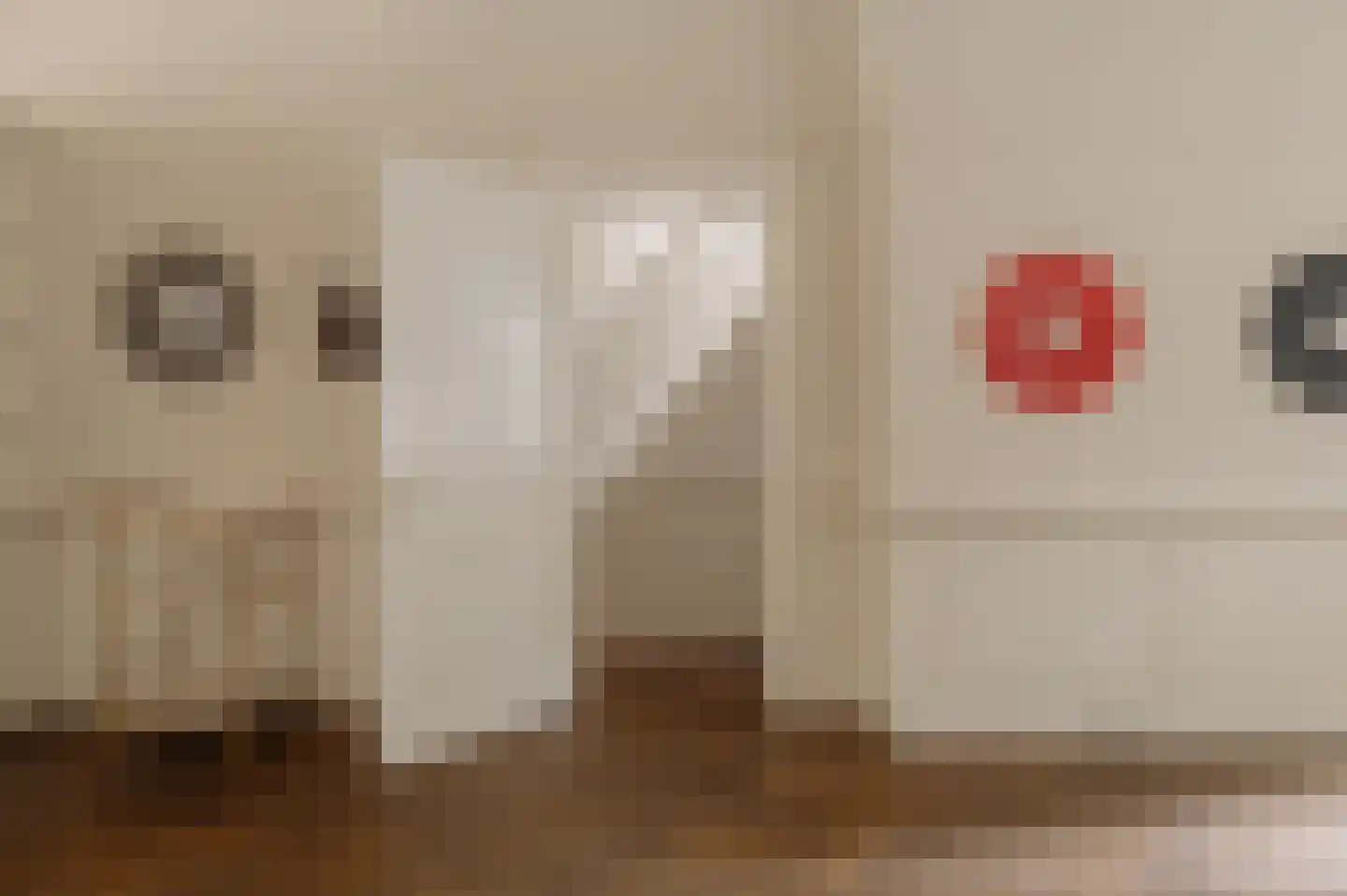 Nieuwe Spiegelstraat 29 1 Amsterdam thumbnail 14
