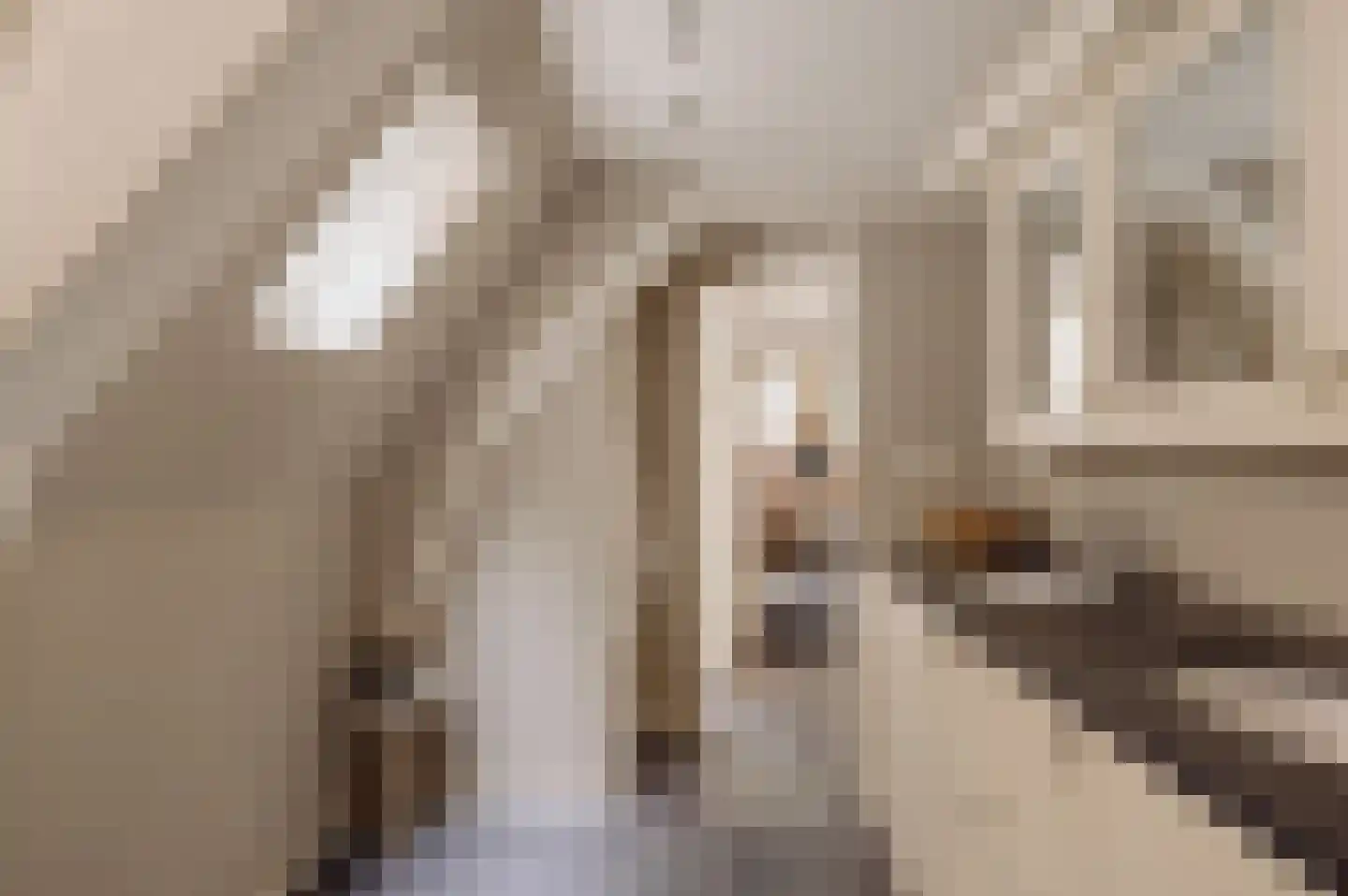 Nieuwe Spiegelstraat 29 1 Amsterdam thumbnail 16