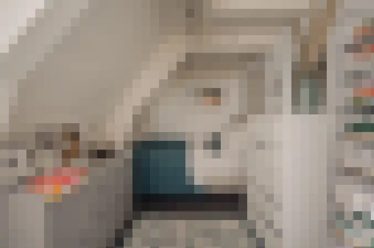Nieuwe Spiegelstraat 29 1 Amsterdam thumbnail 19