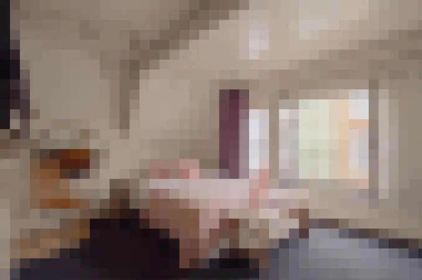 Nieuwe Spiegelstraat 29 1 Amsterdam thumbnail 20