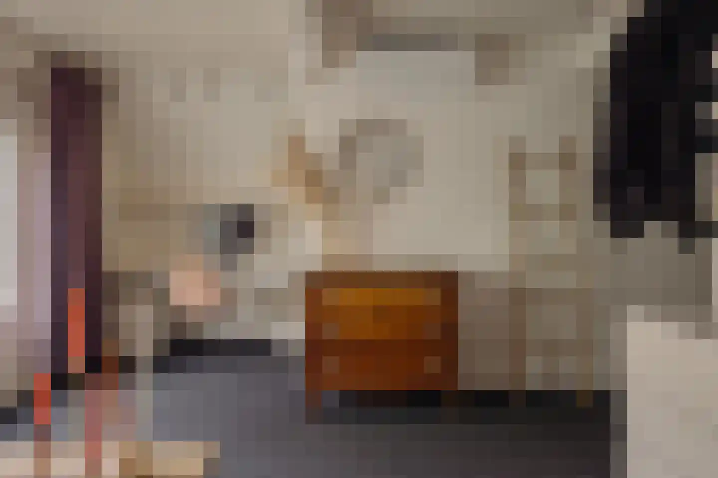 Nieuwe Spiegelstraat 29 1 Amsterdam thumbnail 21