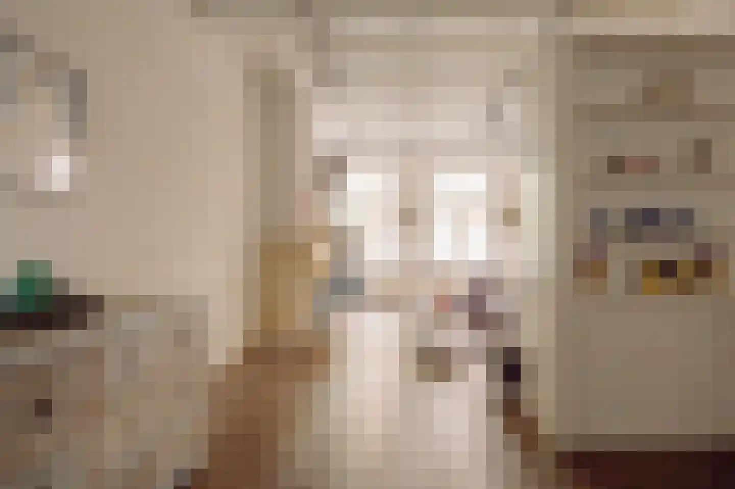 Nieuwe Spiegelstraat 29 1 Amsterdam thumbnail 7