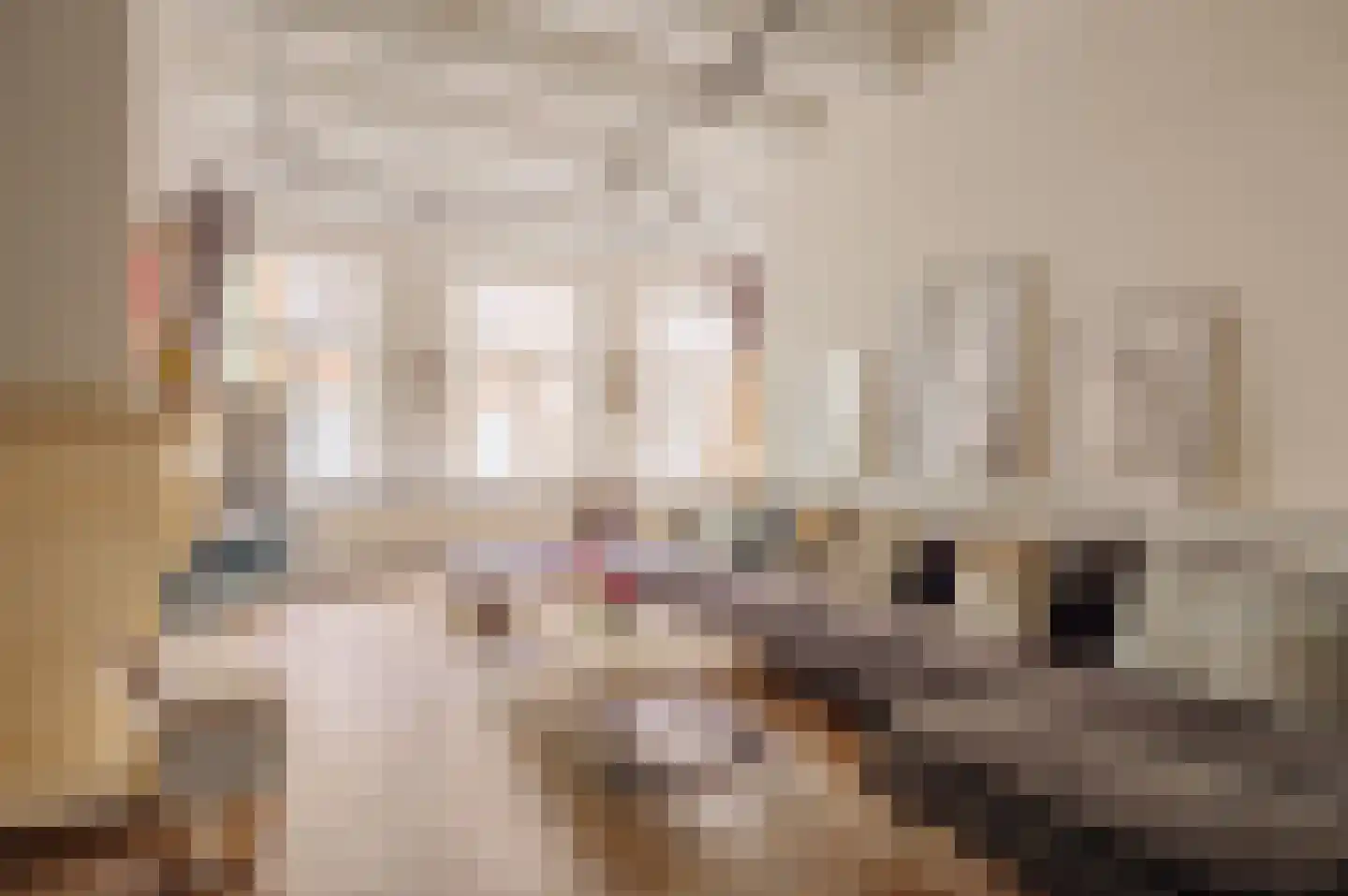 Nieuwe Spiegelstraat 29 1 Amsterdam thumbnail 8