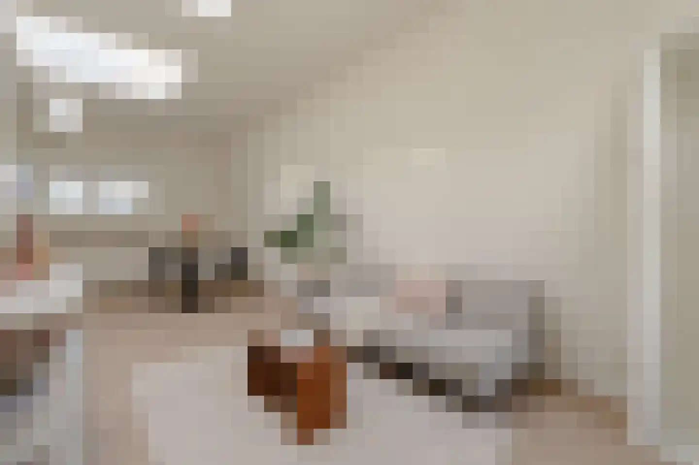 Nieuwe Spiegelstraat 43 H Amsterdam thumbnail 47