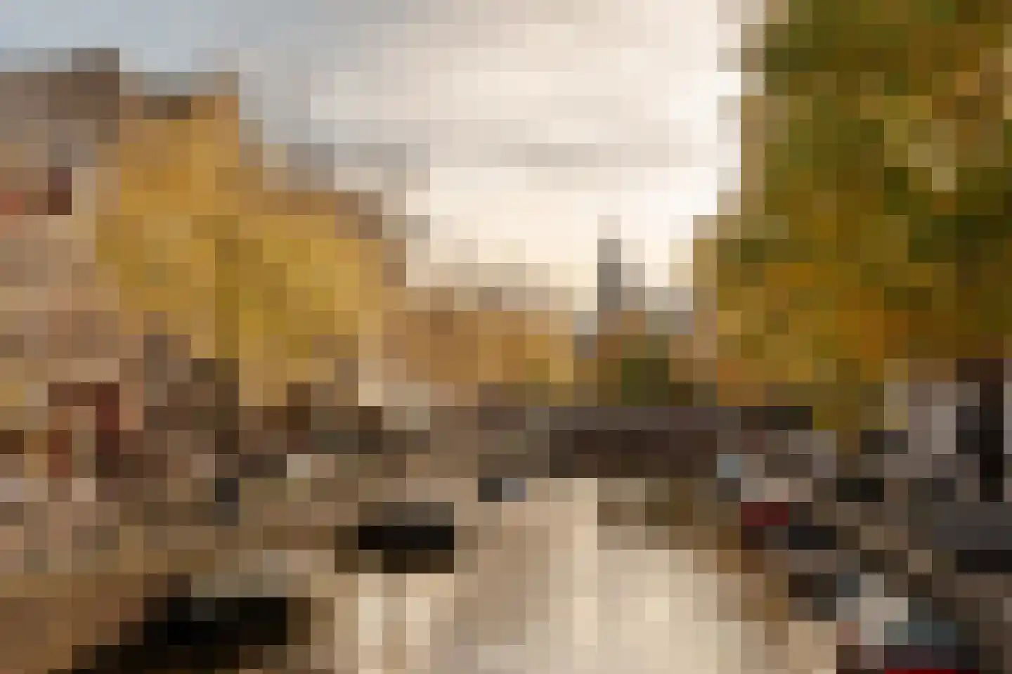 Nieuwe Spiegelstraat 43 H Amsterdam thumbnail 62