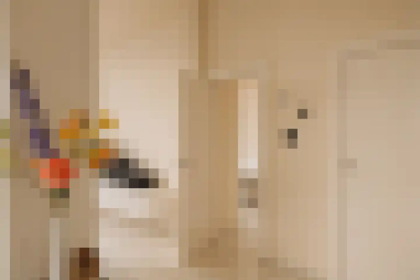 Nieuwe Spiegelstraat 6 C Amsterdam thumbnail 19