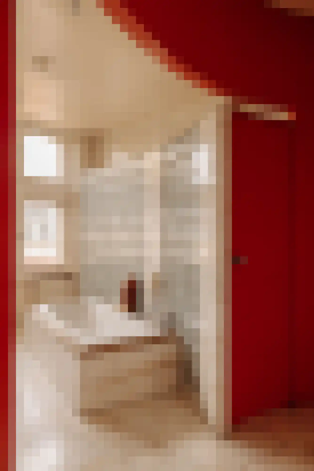 Nieuwe Spiegelstraat 6 C Amsterdam thumbnail 37