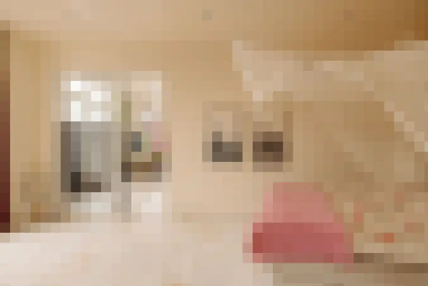 Nieuwe Spiegelstraat 6 C Amsterdam thumbnail 47